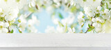 Fototapeta Kwiaty - Spring cherry blossoms with empty wooden white table and spring apple garden on the backgrounds. Happy Easter or Passover card. Wide banner with copy space for product presentation, showcase.