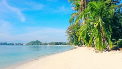 Wall Mural - beach and coconut palm trees