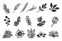 Simple Linear Flowers And Leaves Isolated On White. Hand Drawn Vector Botanical Illustrations. Cute Flowers And Leaves Cliparts. Vector Set Of Black Ink Drawing Wild Plants And Herbs