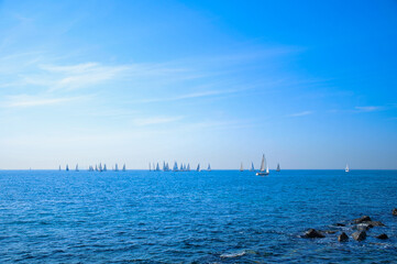 Wall Mural - Sailing boats on the horizon.