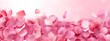 © Ilmi - Petals of pink rose beauty background. flying petals