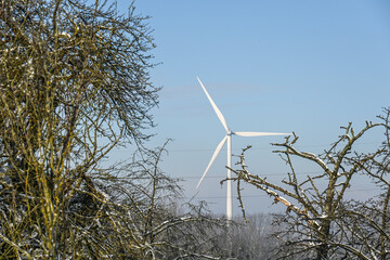 Poster - Belgique Brabant flamand Beersel paysage arbre campagne hiver neige environnement energie eolienne