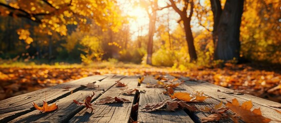 Poster - Beautiful colorful natural autumn background Wooden flooring on the background of a blurred autumn park. Copy space image. Place for adding text or design