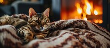Bengal Cat Lies On A Blanket And Warms Itself Near The Fireplace. Copy Space Image. Place For Adding Text Or Design