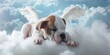 Puppy with angel wings lying on the clouds in heaven. The concept of rest in peace.