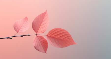 Wall Mural - pink leaf with a light green background