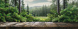 Wooden planks foreground with a lush green forest and clear sky. Earth and International Day of Forests background. Panorama with copy space.