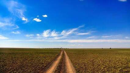 Wall Mural - Southern Mongolia