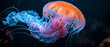 Captivating jellyfish in a vibrant, translucent display. Graceful tentacles flow in a dark, mysterious underwater world with rocks and coral formations. Illuminated by hues of orange and pink