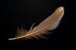 Black and gold feathers on black background.Minimal creative nature and fashion concept.Copy space,flat lay,top view.Generative AI