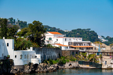 Wall Mural - Town of Ischia Island - Italy