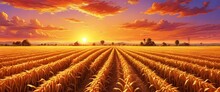 Panoramic Capture Of Sunset Beauty Over Corn Field With Blue Sky And Clouds, Agricultural Landscape. Generative AI