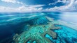 Aerial View of Vibrant Coral Reef in