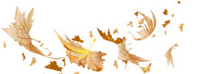 Leaves Traveling Wind Air Autumn Transparent Background