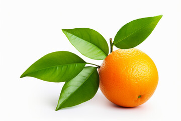 Wall Mural - Orange fruit on white background