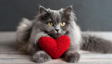 A Red Knitted Heart In The Paws Of A Cat. A Postcard With A Gray And Black Fluffy Cat For Valentine's Day