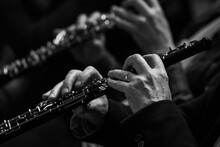 Hands Of A Musician Playing The Oboe In An Orchestra In Black And White