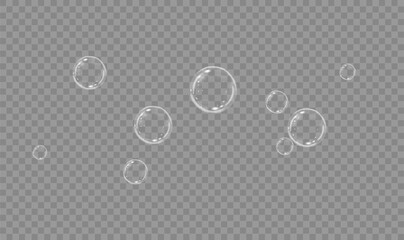 Wall Mural - Realistic soap vector bubbles png isolated on transparent background. The effect of falling and flying bubbles. Glass bubble effect.	
