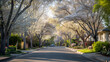 beauty of a residential street in spring. The image is composed of a tree-lined avenue where the trees are in full bloom