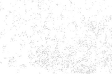 Crack on ground vector, Broken tiles mosaic pattern. texture interior background line art. set of graphics elements drawing for architecture and landscape design. cad material