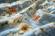 Close-up of a floral fabric with intricate embroidery design. High quality photo