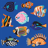 Fototapeta  - Set of beautiful tropical fishes, exotic sea wildlife in vector