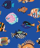 Fototapeta  - Seamless pattern with beautiful tropical fishes, exotic sea wildlife