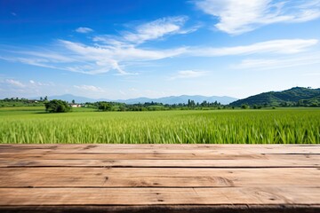 Wall Mural - Wooden table on rice fields with blue sky empty