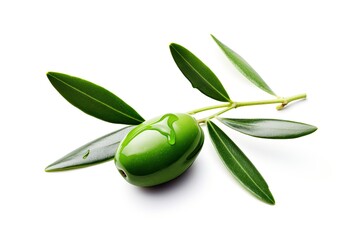 Wall Mural - Isolated olive branch with oil dripping green olive