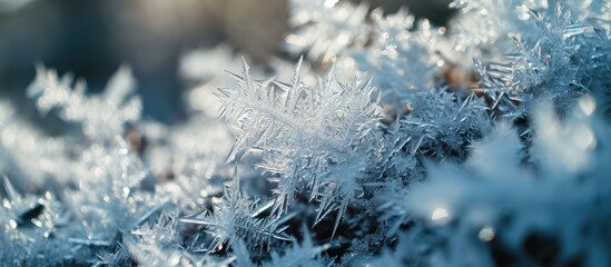 Poster - Closeup of ice crystals with very shallow DOF. Creative Banner. Copyspace image