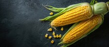 Cob Of Corn Maize Isolated On Black Background. Creative Banner. Copyspace Image