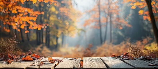 Poster - Blurred forest background Empty table podium in the foreground Autumn. Creative Banner. Copyspace image