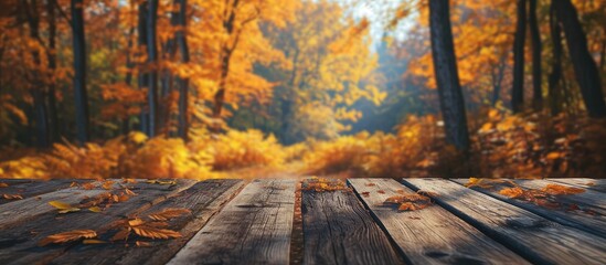 Poster - Blurred forest background Empty table podium in the foreground Autumn. Creative Banner. Copyspace image