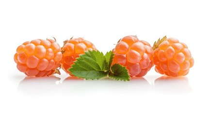 Wall Mural - cloudberry on isolated white background.