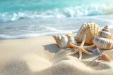 Fototapeta Łazienka - Seashells and Starfish on a Sandy Beach