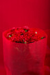 赤い背景の赤いカーネーションの花束