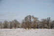 Winter landscape of the countryside and suburbs