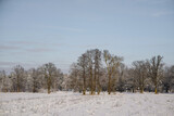 Fototapeta Psy - Winter landscape of the countryside and suburbs