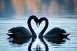 Abstract Serenity: Black Swans Creating Heartfelt Magic