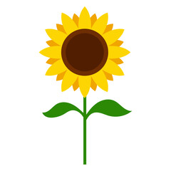 Poster - Sunflower Plant Illustration