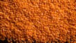An overhead shot of raw red lentils