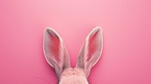 Rabbit ears stick out on a pink background