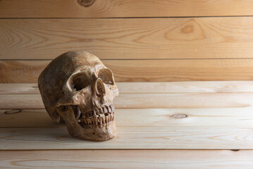 Wall Mural - Vintage Wooden Table Featuring an Intriguing Skull Centerpiece, Blending Rustic Charm with a Touch of Mystery