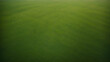 green grass background from top Arial view , bird eye view grass meadow seamless background