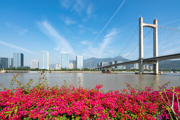 Poster - Red flowers in the park and the urban skyline of the financial district, Fuzhou, China