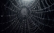 © nana - Spider web on black background. Filament