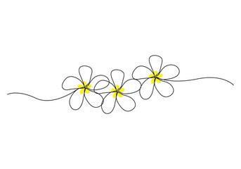 Plumeria flowers in continuous one  line art drawing. Frangipani blossom. Vector illustration isolated on white.
