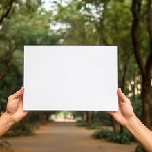A Person Holds A White Sign With No Words On It, Close-up, Real Scene, Realistic Picture, The Scene Is In A Park