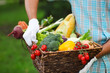 Basket filled fresh vegetables in hands of a man
