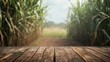 Empty wooden brown table top with blur background of sugarcane plantation